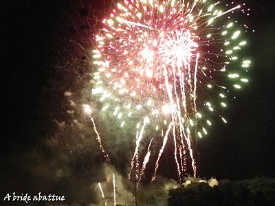 Feu d'artifices en banlieue parisienne Feu d'artifices en banlieue parisienne