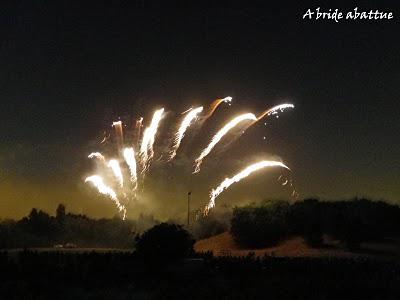 Feu d'artifices en banlieue parisienne Feu d'artifices en banlieue parisienne