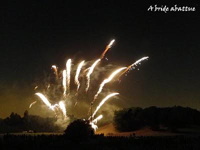 Feu d'artifices en banlieue parisienne Feu d'artifices en banlieue parisienne