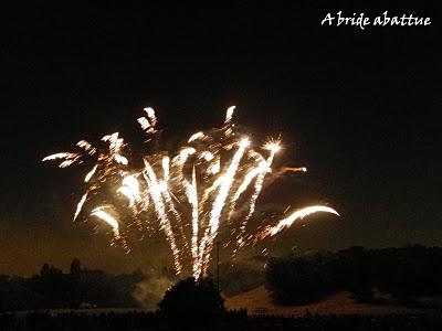 Feu d'artifices en banlieue parisienne Feu d'artifices en banlieue parisienne