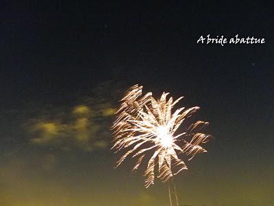 Feu d'artifices en banlieue parisienne Feu d'artifices en banlieue parisienne