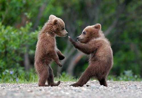 Meli-melo rigolo... Meli-melo rigolo...