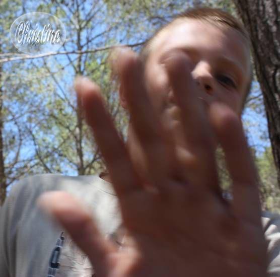 ~~ Tsss... tsss... tsss... c'était le pique nique des Cigales hier ! ~~ IMG_5807