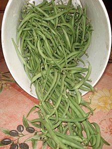 On mange quoi demain?La congélation des haricots verts Congelation-des-haricots-verts.jpg