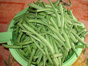 On mange quoi demain?La congélation des haricots verts Congelation-des-haricots-verts-1.jpg