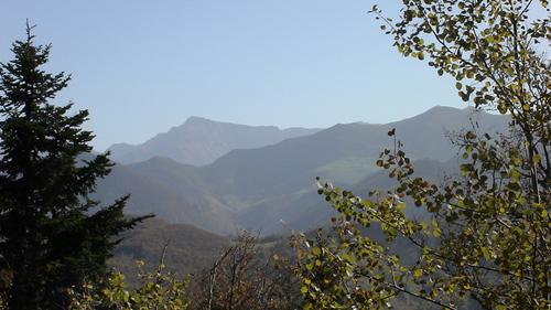 Déraillement 1652643.1279546866.jpg