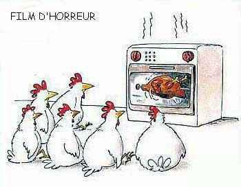 Poulet caramélisé et ses aubergines dorées http://bric-a-brac.org/humour/images/animaux/poulet_horreur.jpg
