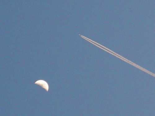 Ceux qui restent partants PanopticonA37.jpg