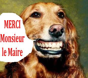 ...L'UNION CANINE PONOTEsatisfaite.Nos lecteurs avaient p... ...L'UNION CANINE PONOTEsatisfaite.Nos lecteurs avaient p...