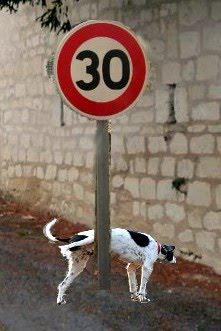 ...L'UNION CANINE PONOTEsatisfaite.Nos lecteurs avaient p... ...L'UNION CANINE PONOTEsatisfaite.Nos lecteurs avaient p...