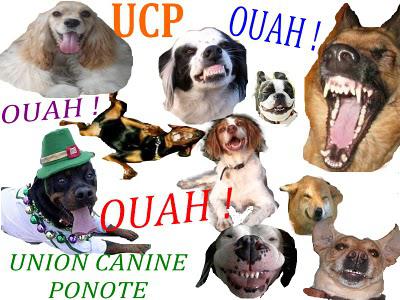 ...L'UNION CANINE PONOTEsatisfaite.Nos lecteurs avaient p... ...L'UNION CANINE PONOTEsatisfaite.Nos lecteurs avaient p...