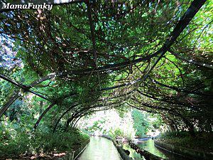 25 ans en arrière ... JUILLET 0547