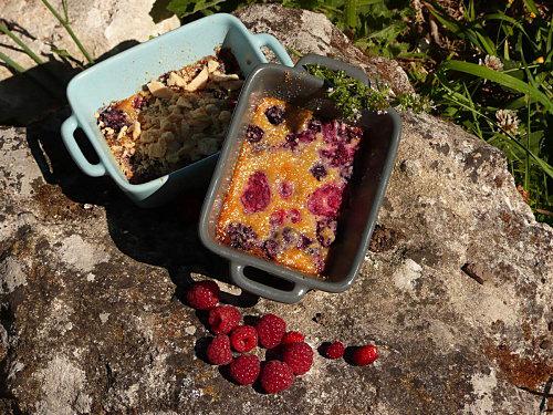 Gratin de fruits rouges P1090721.JPG