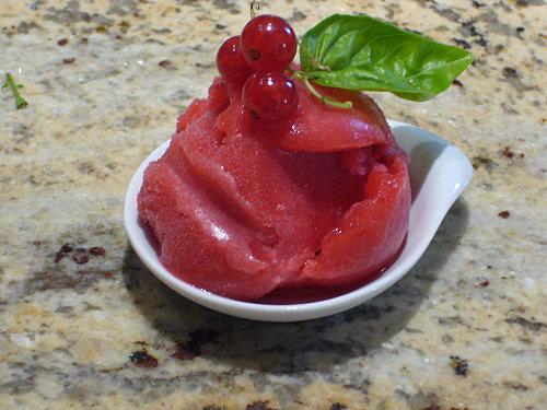 Sorbet Maison aux groseilles rouge du jardin P1090505.JPG