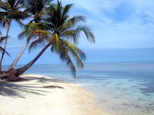 Gîte de France n°6241, mon pire séjour en Guadeloupe Gwdesh