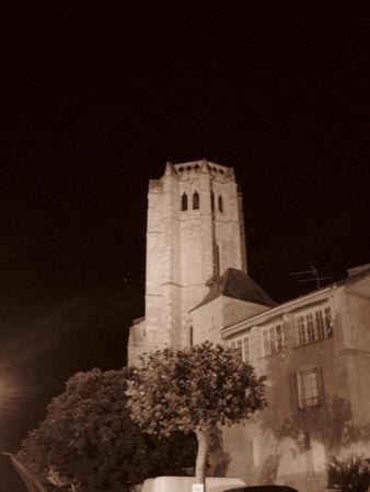 La nuit des Bandas à La Romieu… IMG_0459