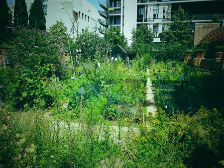 An afternoon in Paris *Bercy-Montmartre and Co* IMGP0466