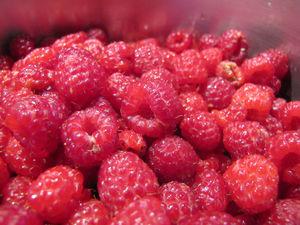 Sorbet à la framboise IMG_4115