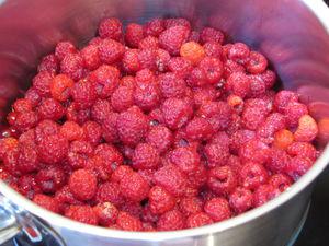 Sorbet à la framboise IMG_4117