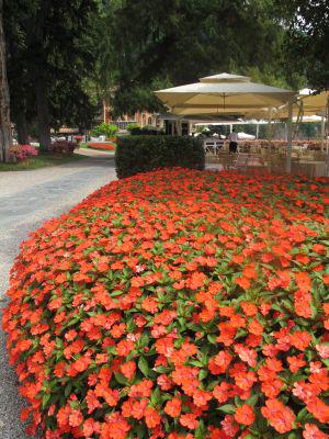 Et un palace de plus hors du coup côté jardin: La Villa d'Este IMG_0350 rouge.jpg
