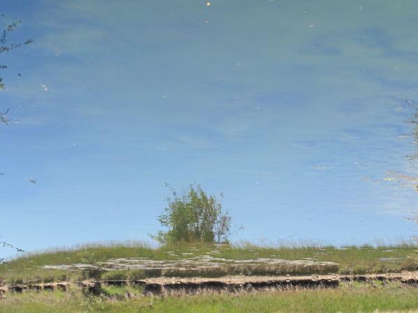 eaux_troubles1.JPG, juil. 2010 eaux_troubles1.JPG