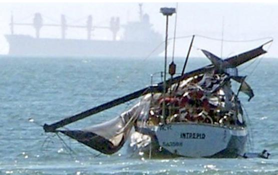 Baleine Vs Voilier Baleine Vs Voilier