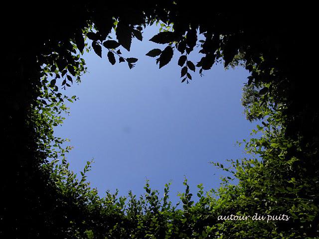 C'EST UN JARDIN C'EST UN JARDIN
