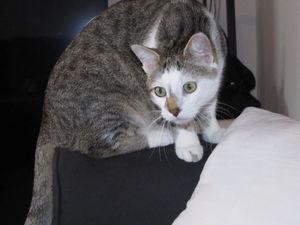 News de mes animaux : épisode 20 IMG_1903