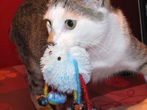 News de mes animaux : épisode 20 IMG_2059