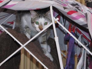 News de mes animaux : épisode 20 IMG_2623