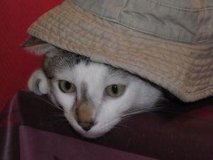 News de mes animaux : épisode 20 IMG_3506