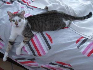 News de mes animaux : épisode 20 IMG_4216