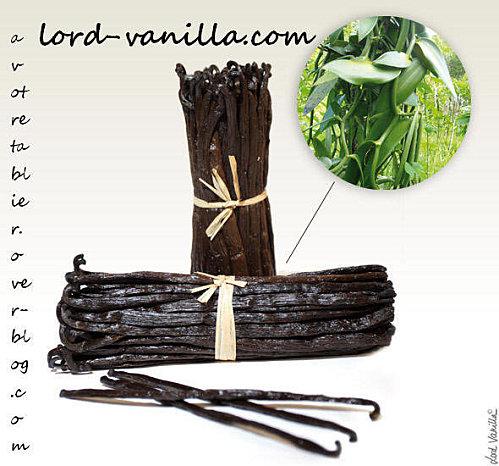 La chance est avec moi !! lol 36428_129793203720502_100000694705146_190208_5083477_n.jpg