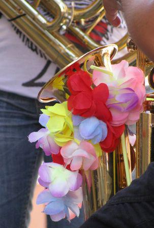 Passage Eclair à Cuivro Foliz 2010 ! IMG_0902