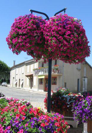 Passage Eclair à Cuivro Foliz 2010 ! IMG_0871