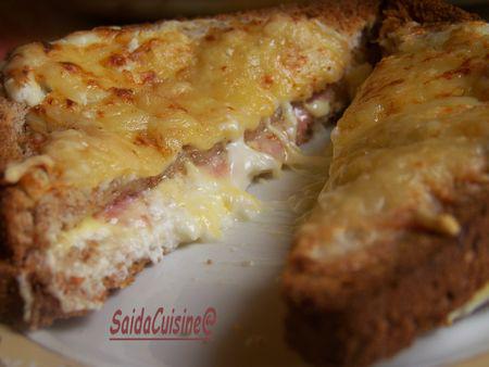 Croque Monsieur au pains complet 100_3613