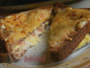 Croque Monsieur au pains complet 100_3616