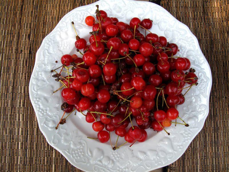 Les dernières cerises Les dernières cerises