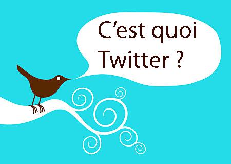 twitter bird Cest quoi Twitter ? et Comment ça marche ?   Prise 2 : un peu plus de réalisme