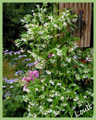 Senteurs... Senteurs...