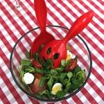 Je vois la vie en rouge couverts-salade-bunny-rouge.jpg