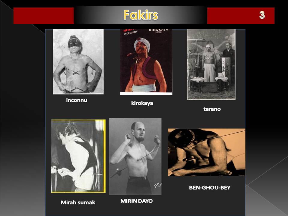 galerie fakirs GALERIE FAKIR3