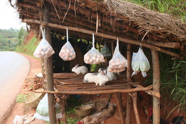 L'échevin des produits wallons dans les ananas clip_image004