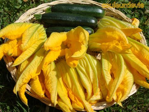Beignets de fleurs de courgettes Beignets de fleurs de courgettes