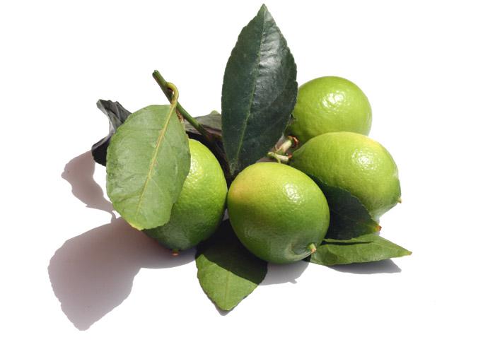 ライム lime lima citron vert