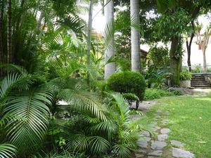 Venezuela (1) P1030174