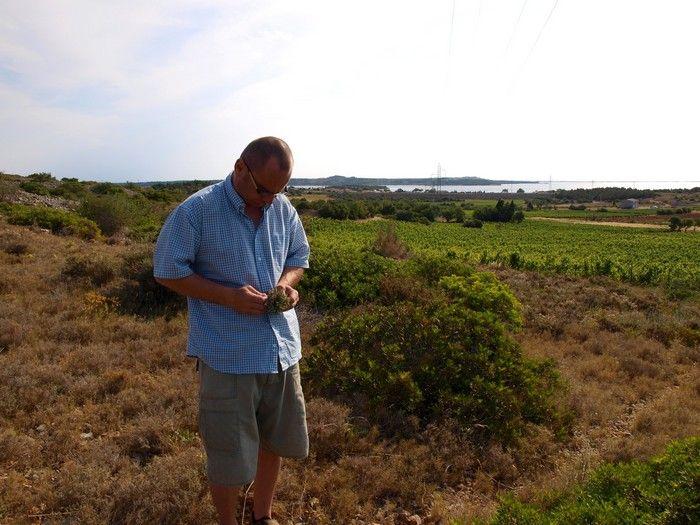 Vendredi du vin # 28 : virée en Languedoc-Roussillon laurent