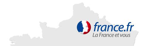 France.fr Après le désastre de Cyberscope, Typhon aide France.fr