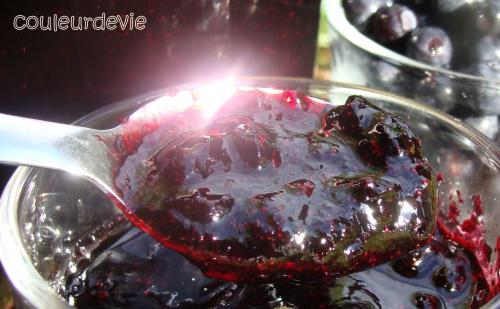 DSC01224 Confiture de myrtilles et tartelettes aux myrtilles