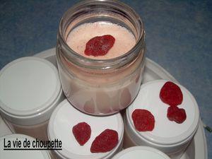 YAOURTS AUX FRAISES SECHEES 014